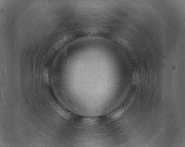 X0000089680238200707121257