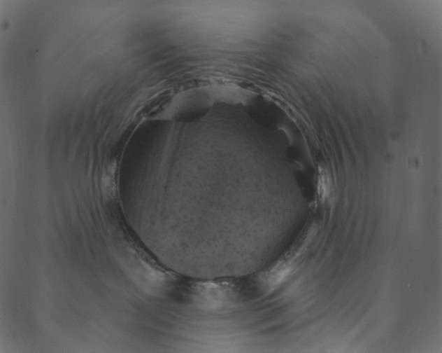 X0000089680239200707121257