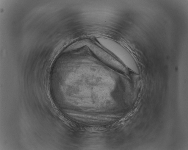 X0000089680241200707121256