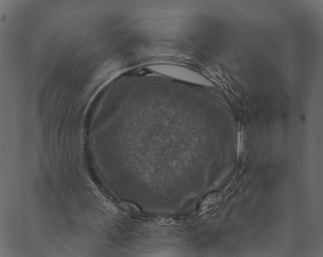 X0000089680243200707121256