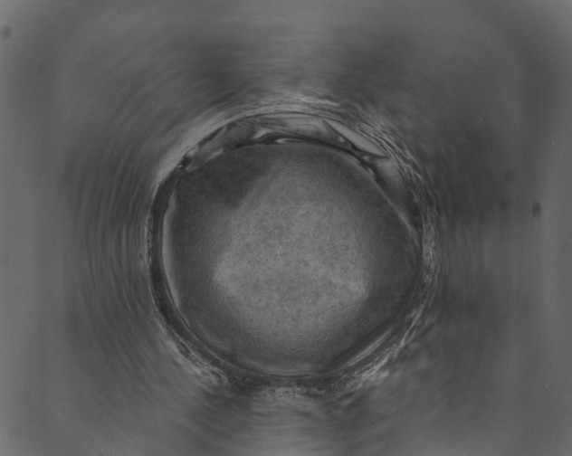 X0000089680244200707121256