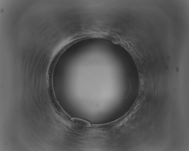 X0000089680246200707121256