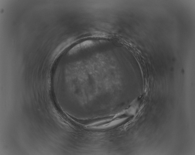 X0000089680247200707121256