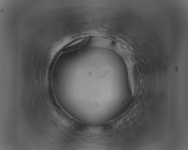 X0000089680248200707121256