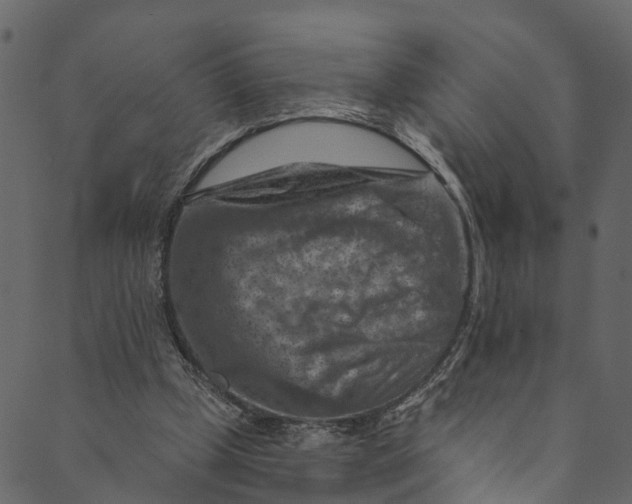 X0000089680249200707121256