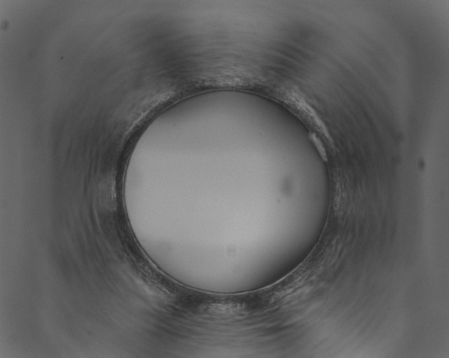 X0000089680251200707121256