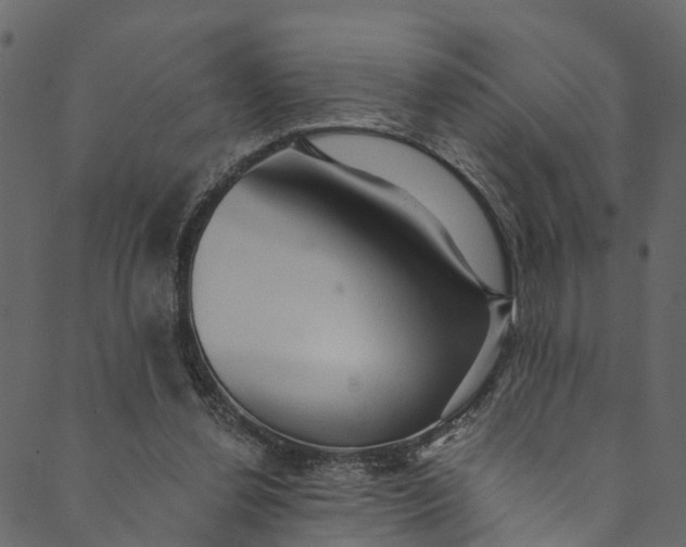 X0000089680252200707121256