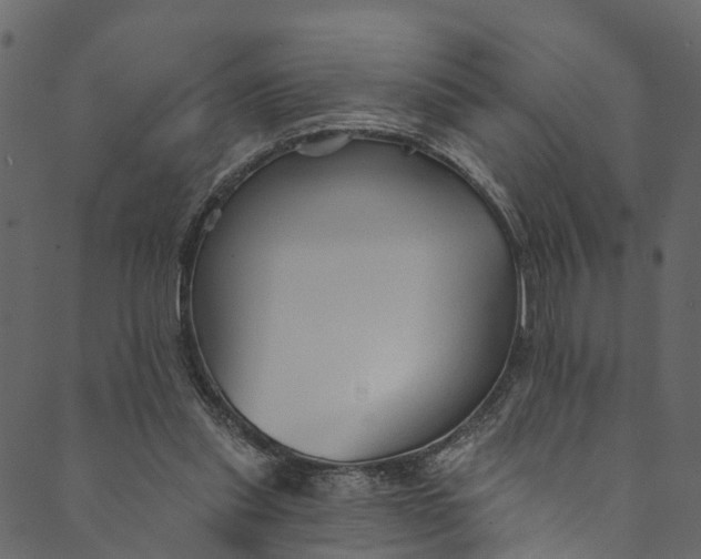 X0000089680253200707121256