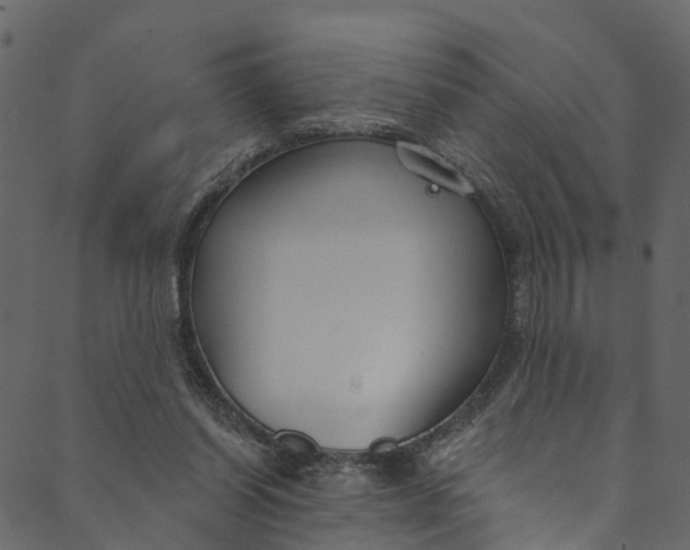 X0000089680254200707121256