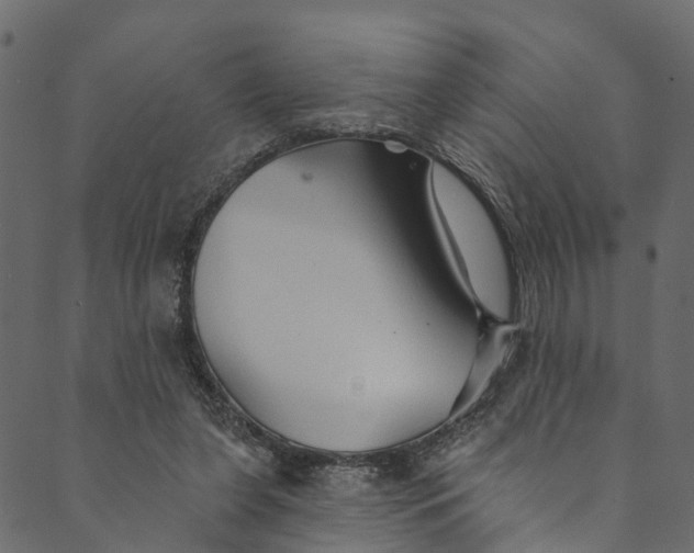 X0000089680255200707121256