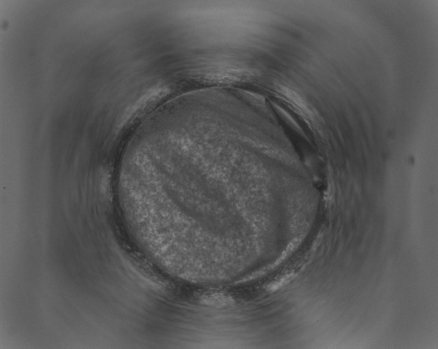 X0000089680258200707121256