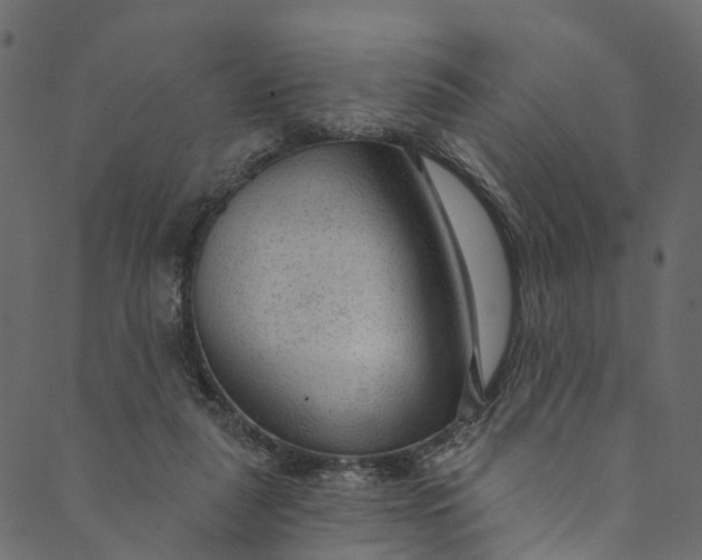 X0000089680259200707121256