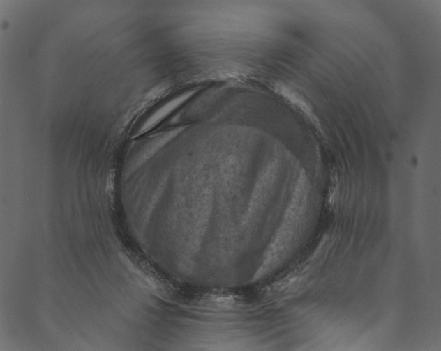 X0000089680260200707121256