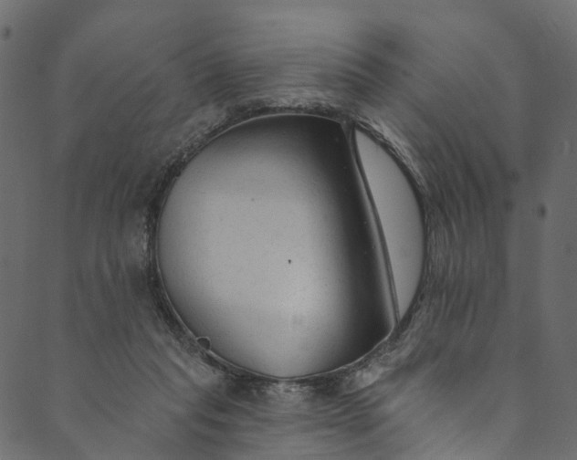 X0000089680261200707121256