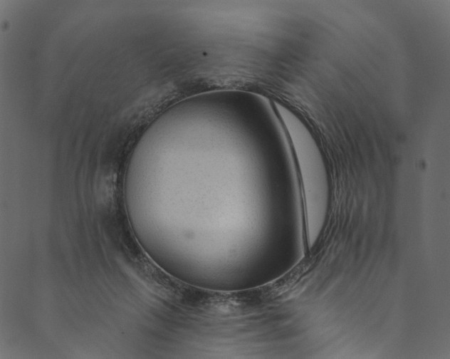 X0000089680263200707121256