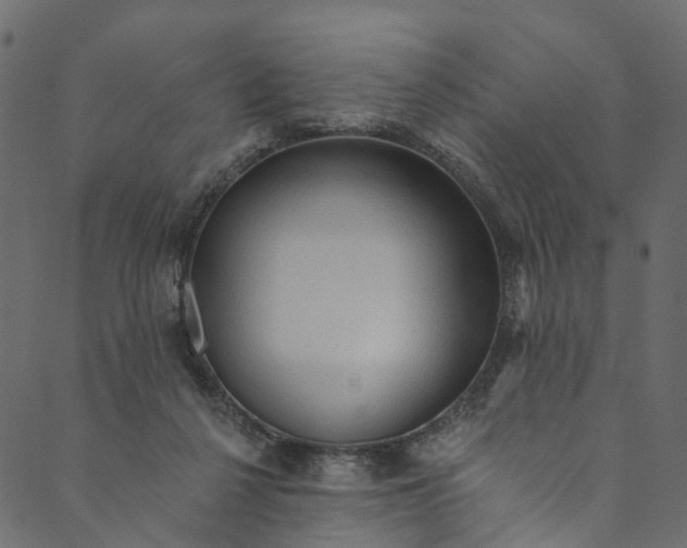 X0000089680264200707121256