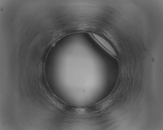 X0000089680265200707121256