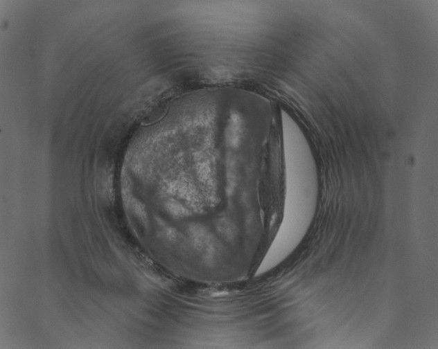 X0000089680267200707121256