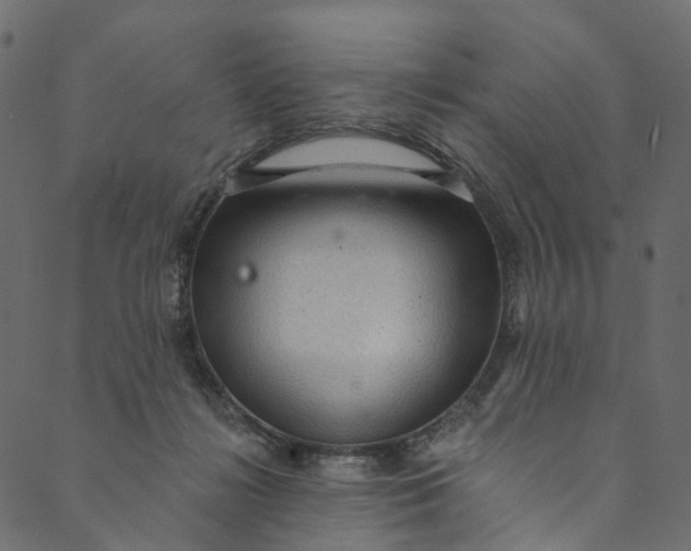 X0000089680268200707121256