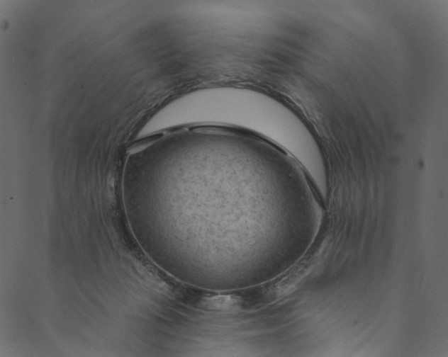 X0000089680269200707121256