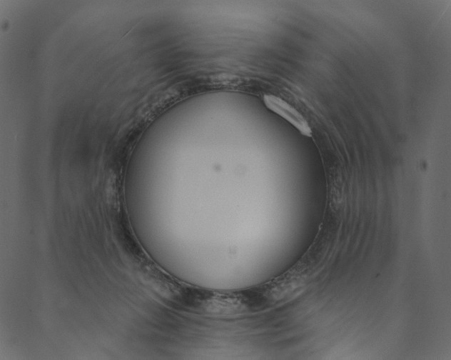 X0000089680270200707121256