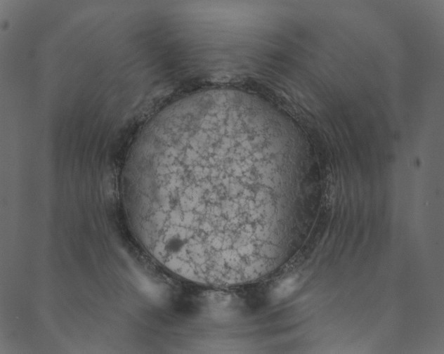 X0000089680272200707121256