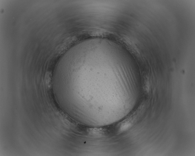 X0000089680273200707121256