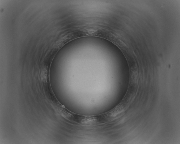 X0000089680274200707121256