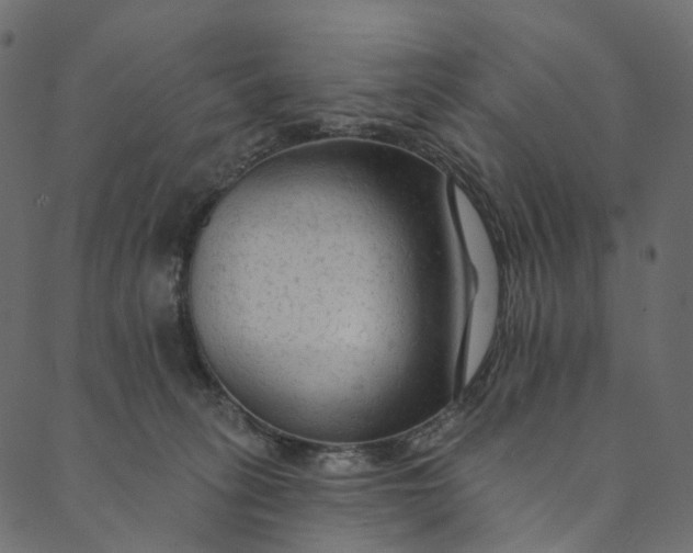 X0000089680275200707121256