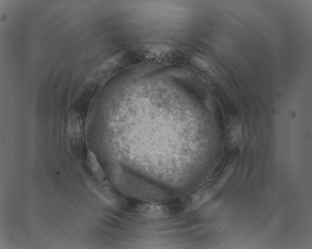 X0000089680276200707121256