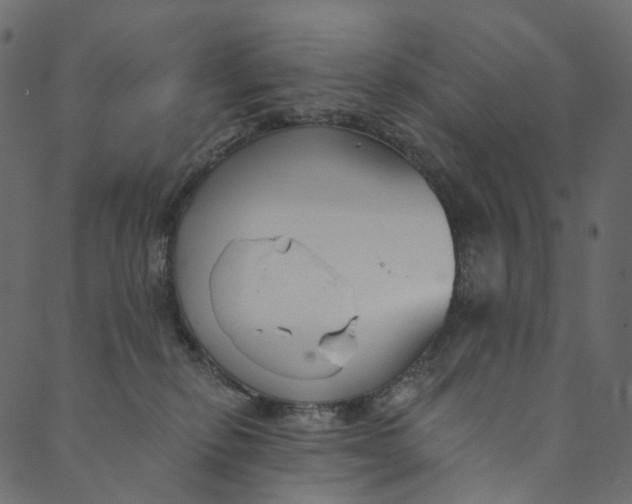 X0000089680278200707121256