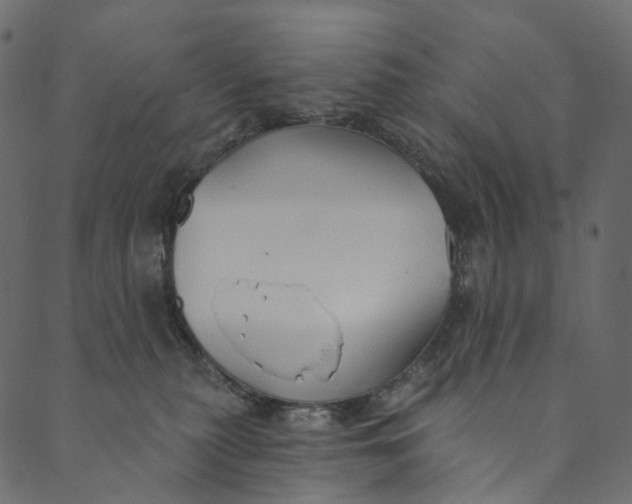 X0000089680279200707121256