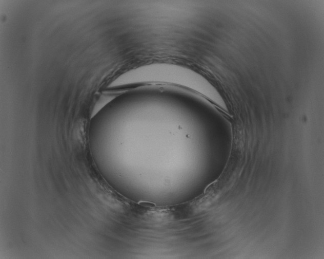 X0000089680280200707121256