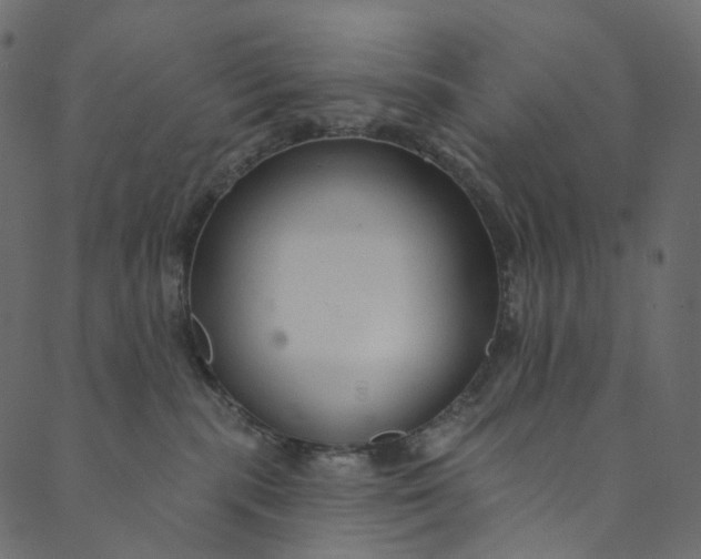 X0000089680283200707121256