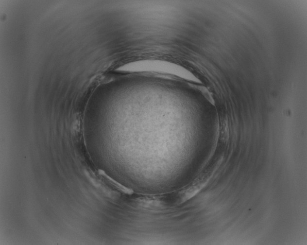 X0000089680284200707121256