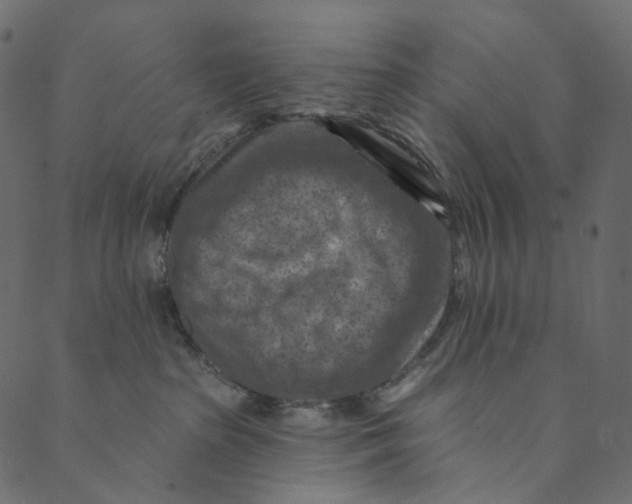 X0000089680285200707121256