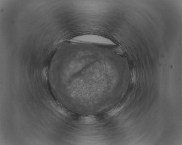 X0000089680286200707121256