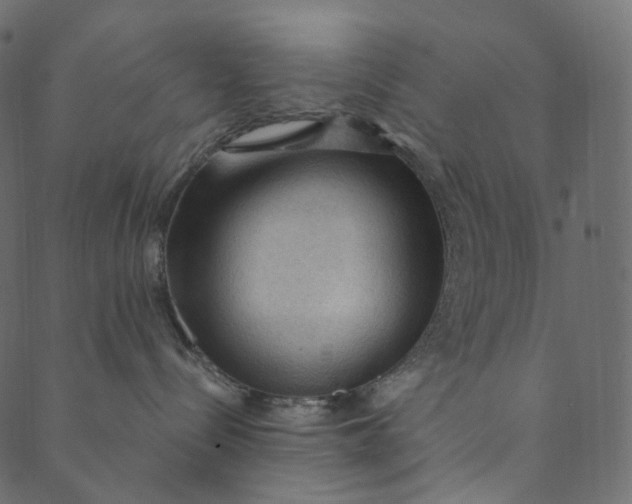 X0000089680288200707121256