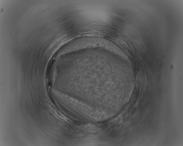 X0000089680290200707121256