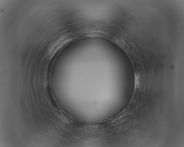 X0000089680291200707121256