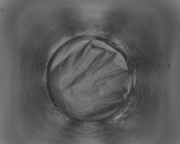 X0000089680292200707121256