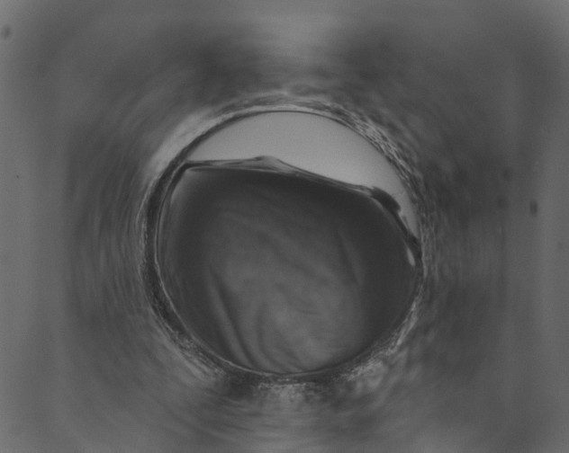 X0000089680295200707121256