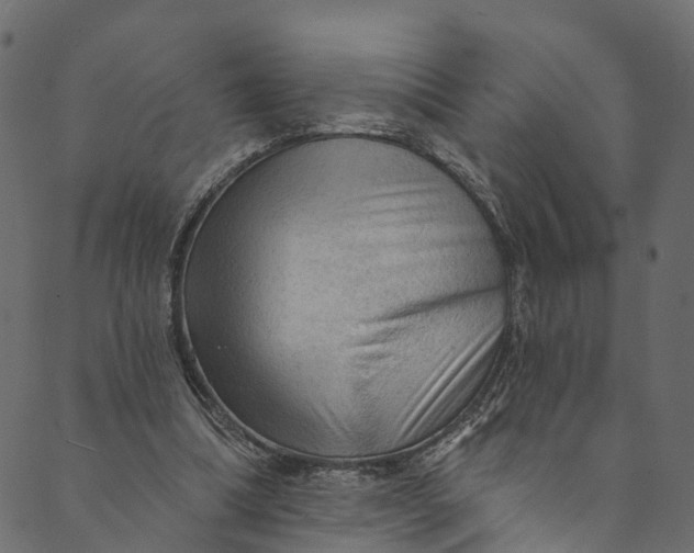 X0000089680298200707121256