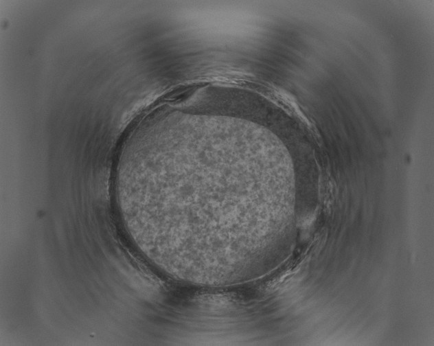 X0000089680299200707121256