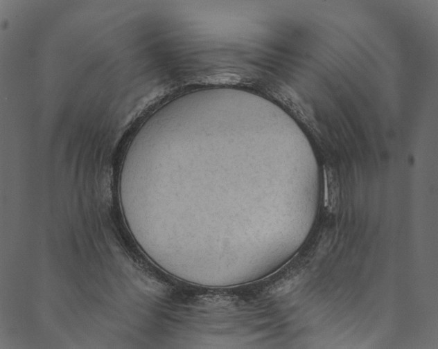 X0000089680300200707121256