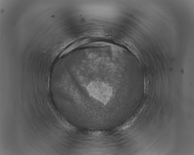 X0000089680301200707121256