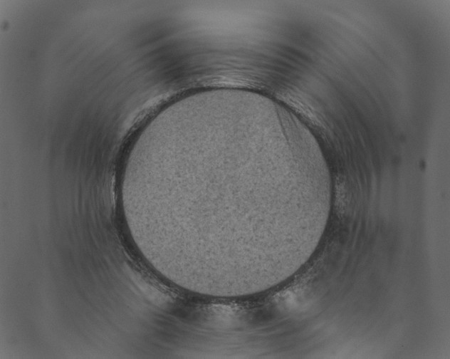 X0000089680302200707121256