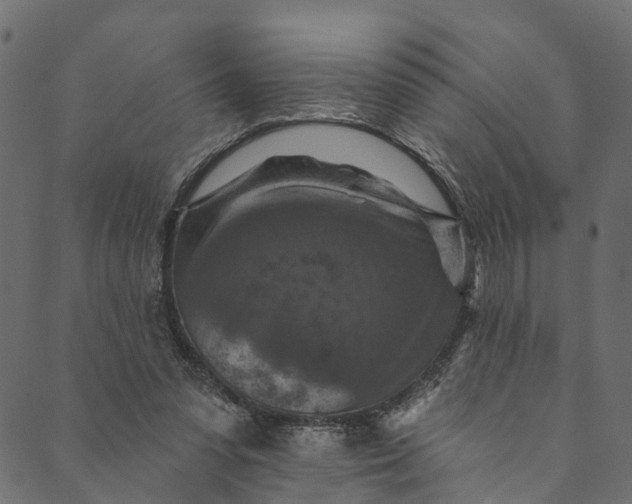 X0000089680303200707121255