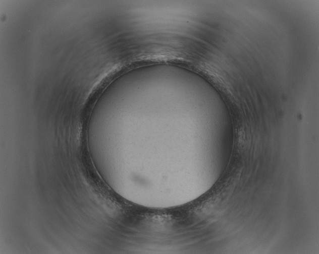 X0000089680304200707121255