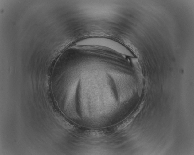 X0000089680305200707121255